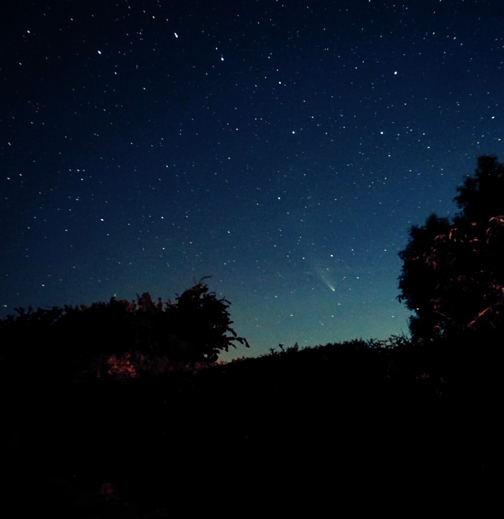 Starry night sky with a visible comet in the distance and silhouetted trees in the foreground.